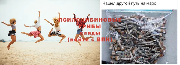 молекула духа Арсеньев