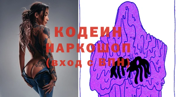 молекула духа Арсеньев
