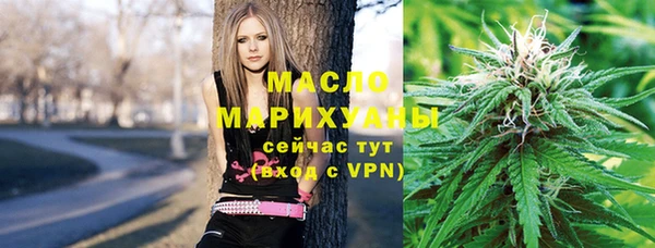 молекула духа Арсеньев