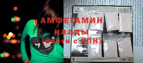 молекула духа Арсеньев