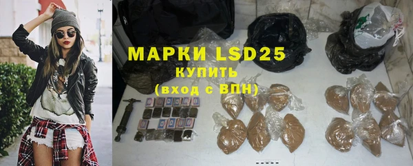 прущие грибы Покачи