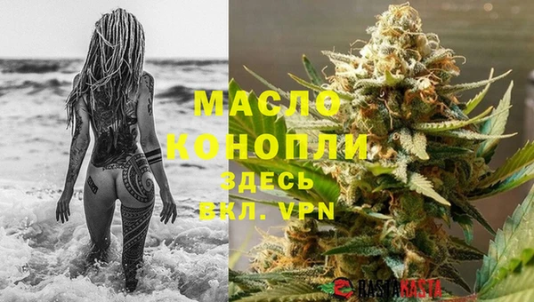 молекула духа Арсеньев